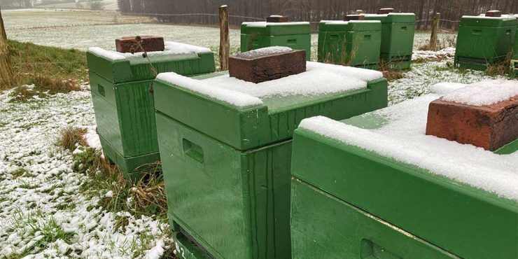 Winter bei den Bienen