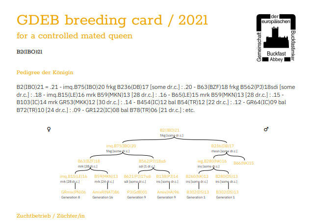 GdeB Zuchtkarte