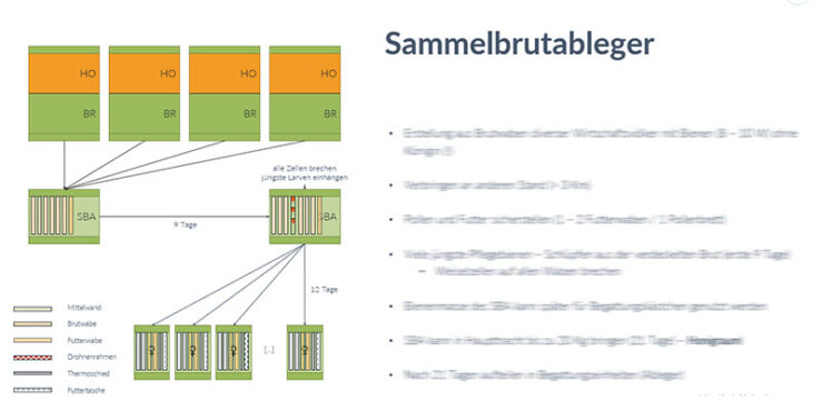 Vortrag Völkervermehrung